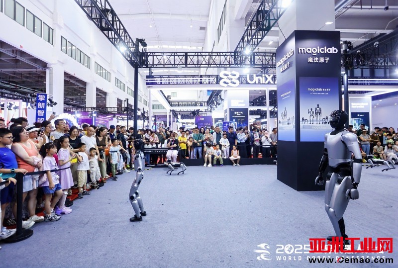 世界机器人大会2025 (5)