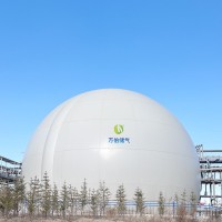 大白球双膜储气柜WD68