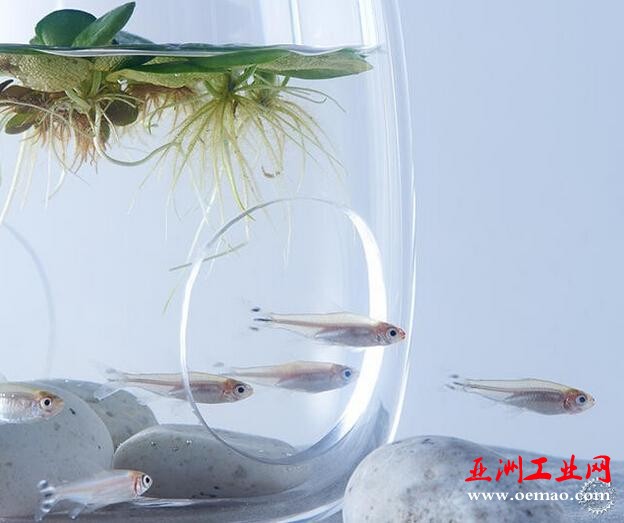 鱼才是主角！用3D打印将鱼缸造景回归单纯的平衡