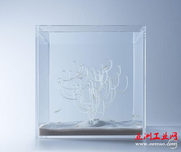 鱼才是主角！用3D打印将鱼缸造景回归单纯的平衡