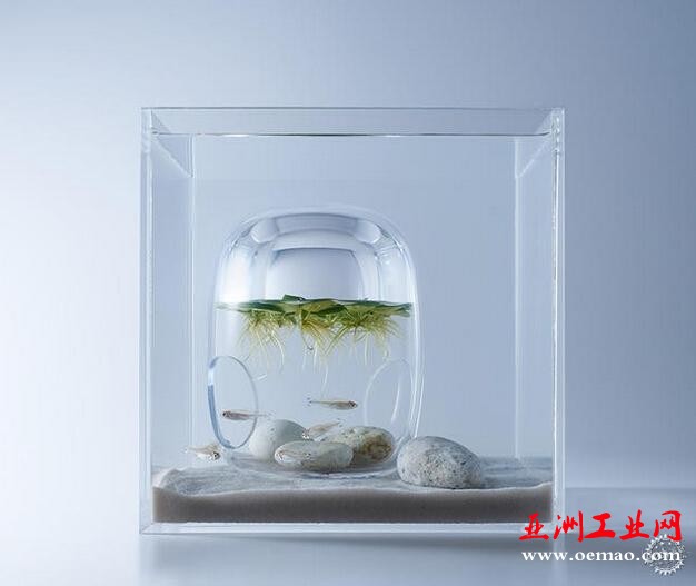 鱼才是主角！用3D打印将鱼缸造景回归单纯的平衡