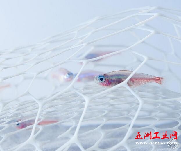 鱼才是主角！用3D打印将鱼缸造景回归单纯的平衡