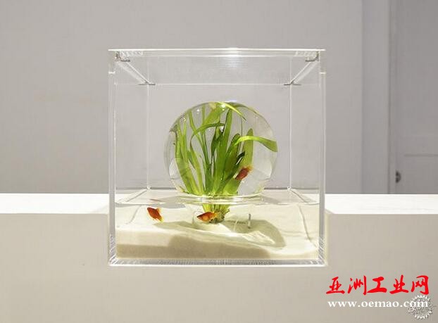 鱼才是主角！用3D打印将鱼缸造景回归单纯的平衡