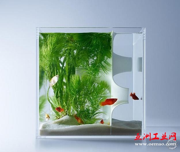 鱼才是主角！用3D打印将鱼缸造景回归单纯的平衡
