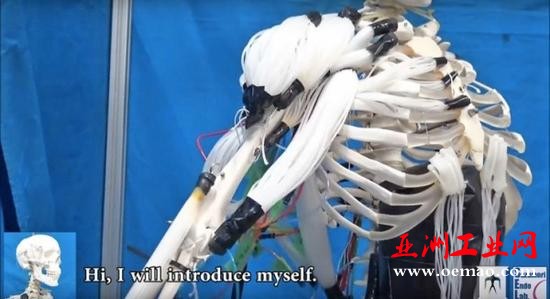 [动图]日本科学家造出长肌肉的机器人
