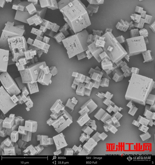 科研从此不孤单：飞纳Pro+SE台式扫描电镜中标复旦大学
