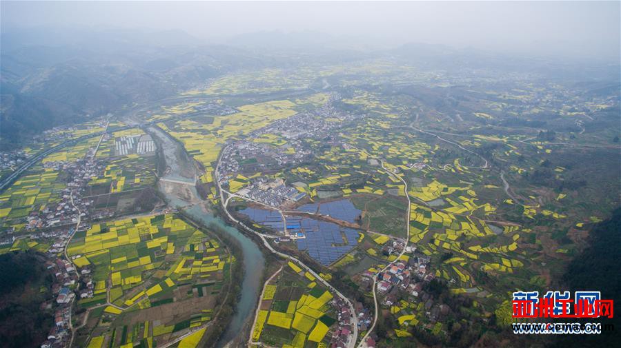 汉中首座“光伏扶贫”发电站被油菜花田包围