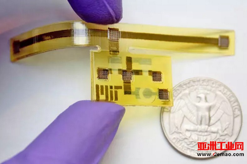 研究人员制造出灵感来自金龟子的3D打印机器人