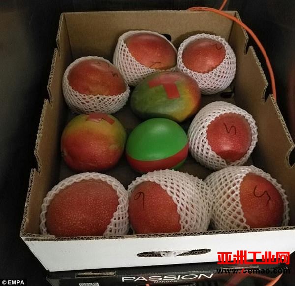 带有传感器的3D打印水果可测试水果新鲜度