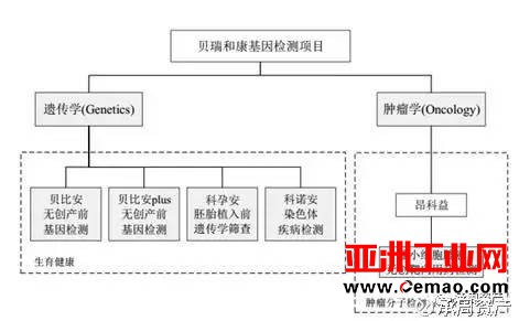 华大基因VS贝瑞合康 基因检测“双雄争霸” 