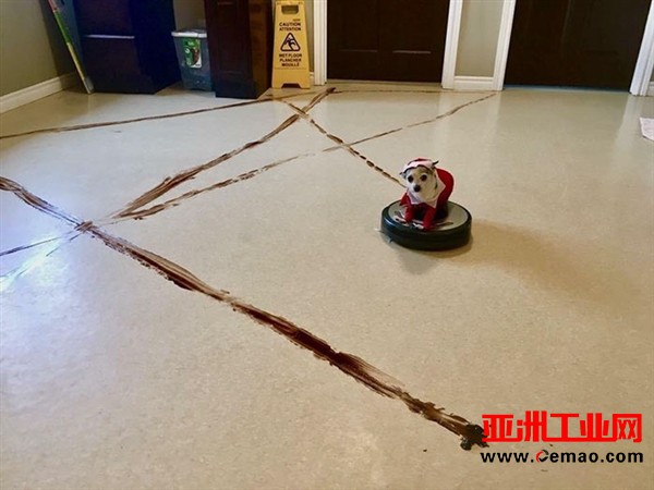 史上最悲剧！当扫地机器人遇见狗屎 画面太美