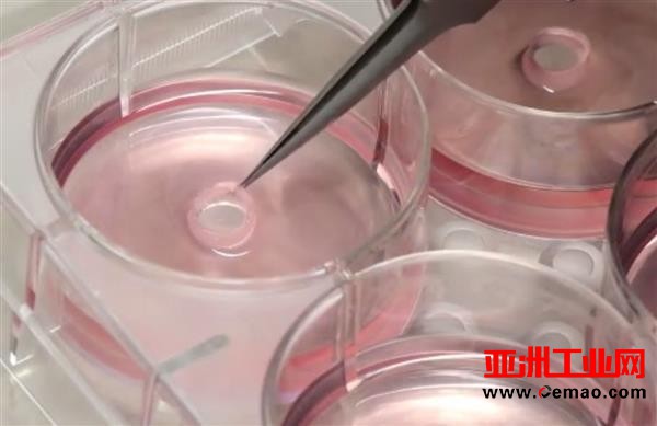 研究人员为血管缺陷儿童开发3D打印血管材料