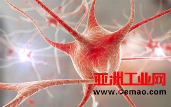 新型质谱技术让神经化学研究进入单细胞时代