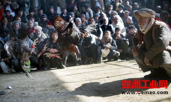 机器人抢工作产生大量闲人 让他们玩游戏过余生？