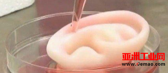 blob.png