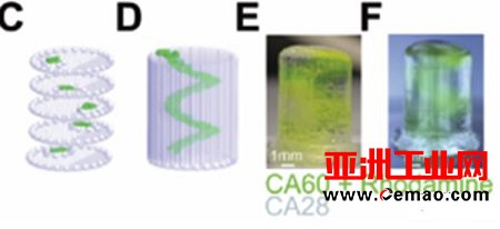 QUT的可调整生物3D打印墨水展示了药物研发的未来