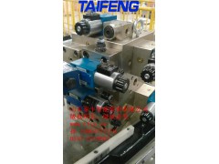 供应YN32-500HXCV泰丰批量生产液压阀