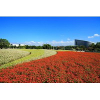 2019北京花卉园艺博览会(国际盛会)