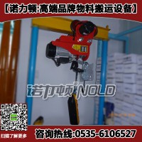 PA200微型电动葫芦 龙升微型电动葫芦 保质3个月