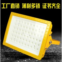 荆州加油站防爆灯 ZL8921泛光灯50w