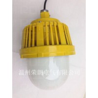 50wLED防爆平台灯  嘉兴防爆灯厂家