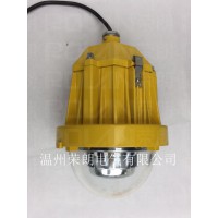 BPC8765LED平台灯 50W吸顶式防爆灯
