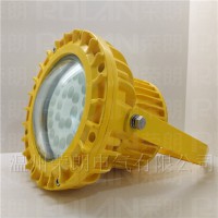 SW7151防爆LED泛光灯40w  质量优质防爆灯（图）