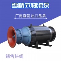 雪橇轴流泵生产厂家