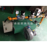 Eclipse天时燃烧机RAH120燃气燃烧机