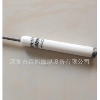 14891点火电极Eclipse点火棒RM燃烧器点火电极