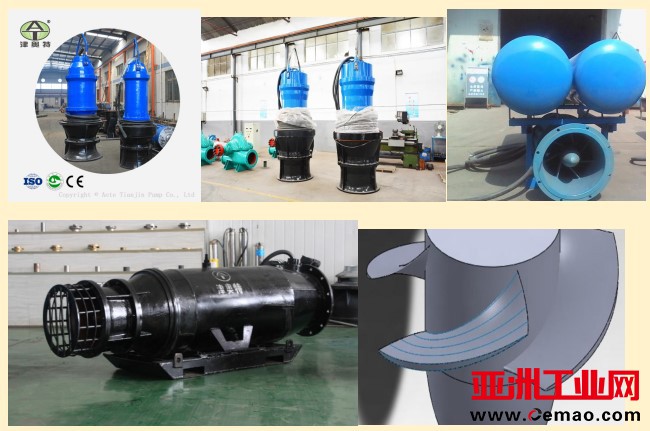 轴流污水泵整体形式